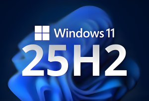 不忘初心 Win11 25H2 26200.7840 X64 纯净深度精简版-Go盒子