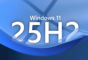 小修 Win 11 25H2 Pro 26200.7840 轻度精简版 2合1-Go盒子